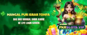 PKR Slots game app