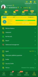  User making a secure deposit in the Bet393 Game using Easypaisa or JazzCash
